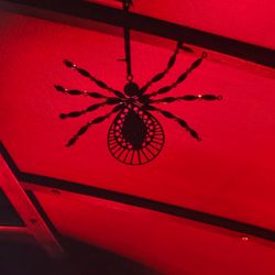 Madame Morbid's Trolley Tours