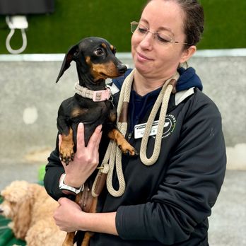 Paw Commons Pet Resort - Encinitas - Pet Sitting Near Me - Encinitas, California Paw Commons Pet Resort - Encinitas - Pet Sitting Near Me - Encinitas, California