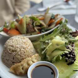 Bright Star Thai Vegan - Soy chicken basil lunch special