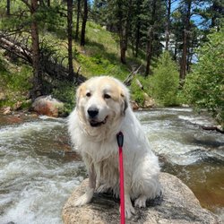 Buckingham Park - Fun in the water