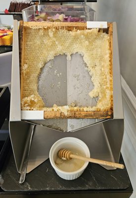 Palazzo Castri 1874 by null