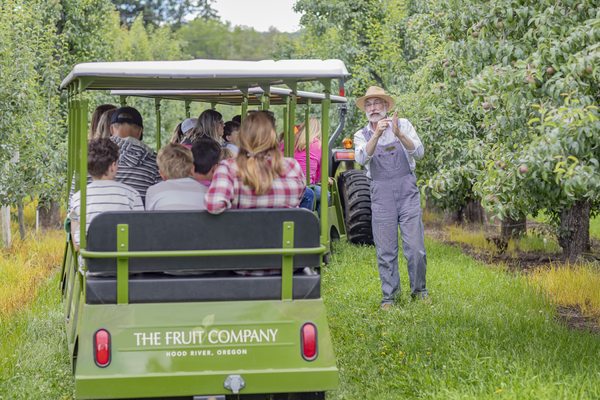 The Fruit Company - Factory Experience by null