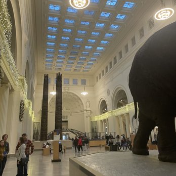Field Museum - Inside - Museums Near Me - Chicago, Illinois Field Museum - Inside - Museums Near Me - Chicago, Illinois