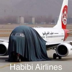 Aneesa's Buffet Restaurant - Habibi airlines #funny #memes on yelp #random