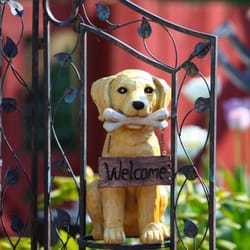 Sunnyhill Kennels Cattery Giftly Beautiful Gift Card Alternative