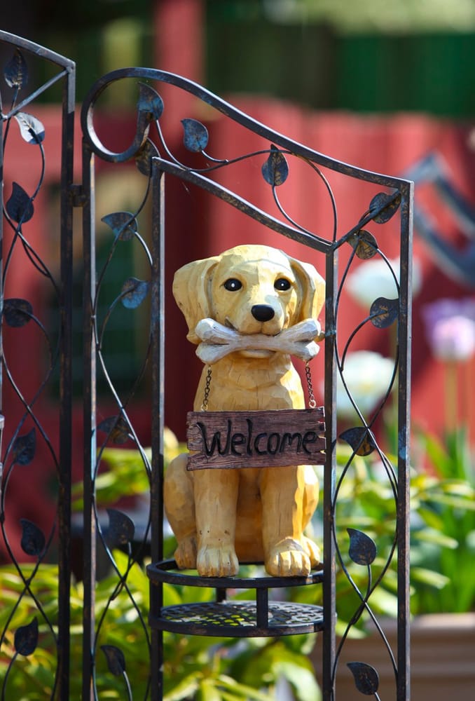 Sunnyhill Kennels & Cattery Image