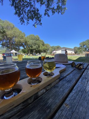 Anderson Valley Brewing Co by null