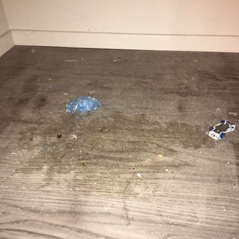 Kapolei Lofts - Under my washer and dryer when I moved in! Yuck - Apartments Near Me - Kapolei, Hawaii