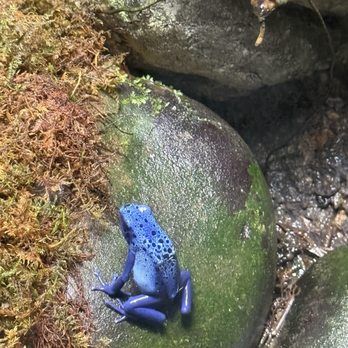 National Aquarium - Aquariums Near Me - Baltimore, Maryland