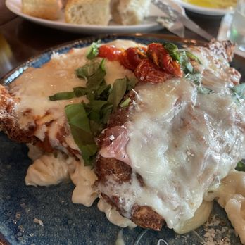 BellaBrava Tampa - Trattoria Chicken Parmesan - Bars Near Me - Tampa, Florida