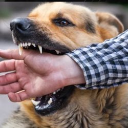 Avery Injury Law