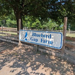 Bluebird Gap Farm
