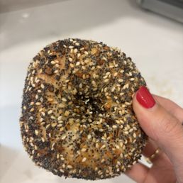Everything bagel Everything bagel