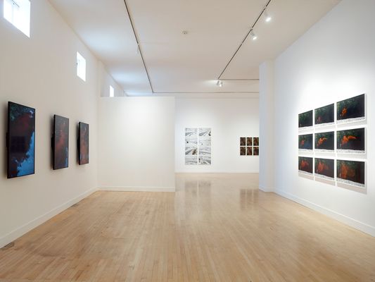 Haines Gallery by null
