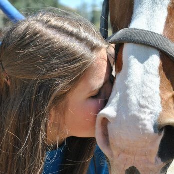Camp Helping Hands - Teen campers helping brush and saddle horses while learning about equine therapy at Rancho St Franics. - Community Service/Non-Profit Near Me - Thousand Oaks, California