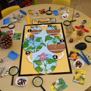 Petite Scholars - Preschools Near Me - Folsom, California