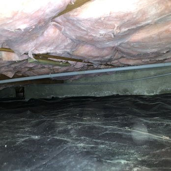 Norcal Rodent Proofing - Crawl space after cleaning and reinstalling new vapor barrier and insulation - Pest Control Near Me - Lafayette , California