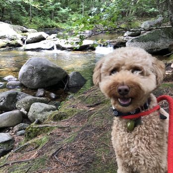 Grafton Notch State Park - Hiking Near Me - Newry, Maine