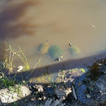 Turkey Creek Sanctuary - Parks Near Me - Palm Bay, Florida Turkey Creek Sanctuary - Parks Near Me - Palm Bay, Florida