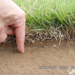Hillbilly Turf Sod Farm - Hillbilly turf.. we not only sell grass but make sure you get plenty of topsoil..