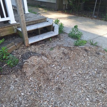 Chapines Tree Service Landscaping - Landscaping Near Me Chapines Tree Service Landscaping - Landscaping Near Me
