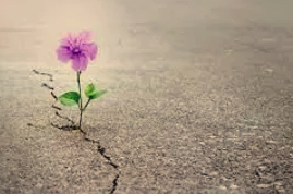 Sanctuary in the City Counseling - child therapist in Tigard, OR