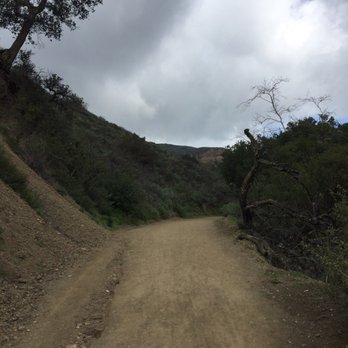 Black Star Canyon Trail - Trail - Hiking Near Me - Orange, California