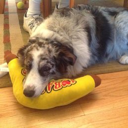 Major and his banana Major and his banana