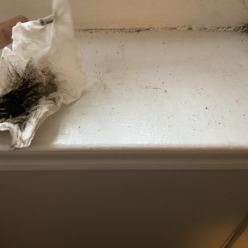 Hanson Landscape - Dirt in my house through the window - Landscaping Near Me - Big Rock, Illinois Hanson Landscape - Dirt in my house through the window - Landscaping Near Me - Big Rock, Illinois