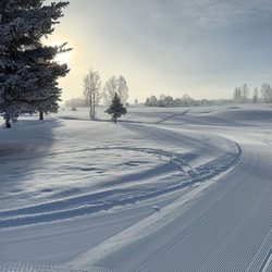 Rendezvous Meadows Golf Course - Early morning on the groomed trail on the golf course. Great for skiing or walking!