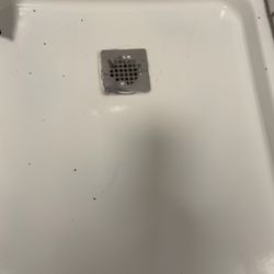 Gatlinburg View Lodge - Flies in the shower!