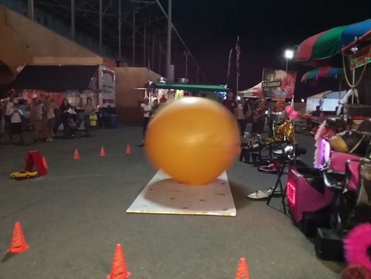 Maricopa County Fair by null