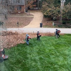 Phan’s Landscaping - Fall Leaf Removal