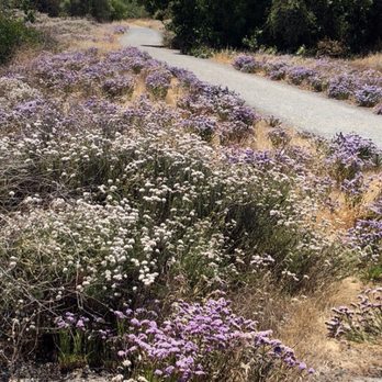 Los Gatos Creek Trail - Parks Near Me - Campbell, California