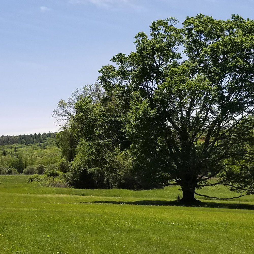 Eustis Estate Museum - May 2017 - Museums Near Me - Milton, Massachusetts Eustis Estate Museum - May 2017 - Museums Near Me - Milton, Massachusetts