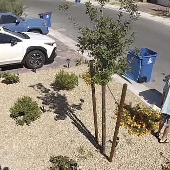C & Ma Landscaping Services - Initial meeting with Ever Garcia to get a quote for front yard cleanup. - Landscaping Near Me C & Ma Landscaping Services - Initial meeting with Ever Garcia to get a quote for front yard cleanup. - Landscaping Near Me