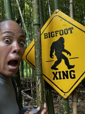 Fantastic Umbrella Factory by null