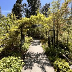Sun Mountain Fun Center - The Mini Golf Course's foliage