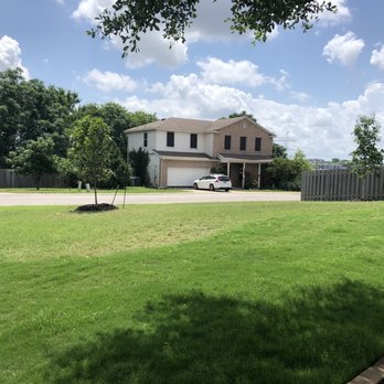 Moon Valley Nurseries - Our 2 trees! - Nurseries & Gardening Near Me - Austin, Texas