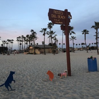 Rosie's Dog Beach - Rosie's dog beach sign - Dog Parks Near Me - Long Beach, California Rosie's Dog Beach - Rosie's dog beach sign - Dog Parks Near Me - Long Beach, California
