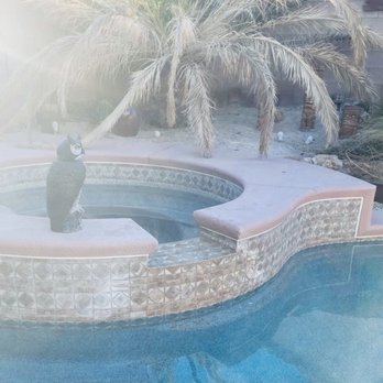 Competitive Pool Service - Pool tile repair - Pool & Hot Tub Service Near Me Competitive Pool Service - Pool tile repair - Pool & Hot Tub Service Near Me