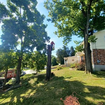 Rojas Chops Tree Service - Tree Services Near Me - Cincinnati, Ohio