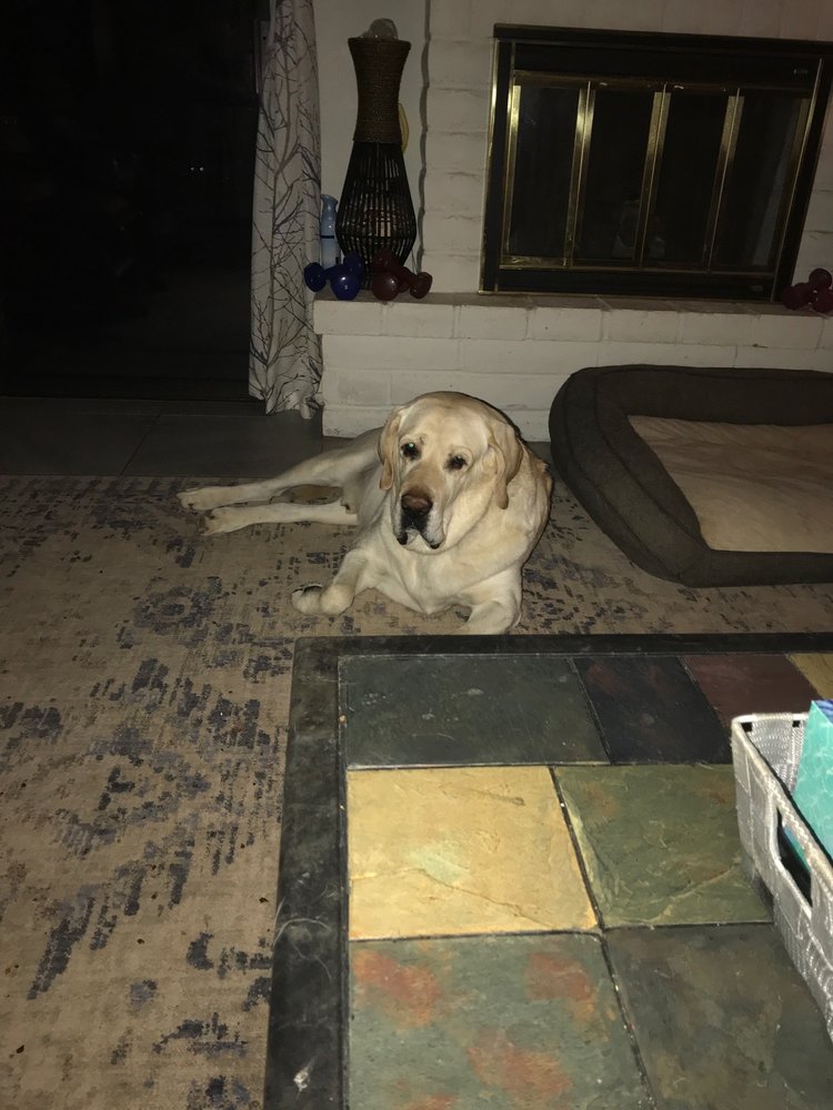 VALLEY PRESBYTERIAN CHURCH Updated September 2024 2800 S Camino Del