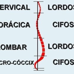 Centro Integral Alternativo Fisico Osteopata Y Psicologico