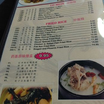 Hot Asian Cuisine - Chinese Near Me - Duluth, Georgia
