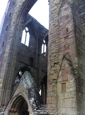 Tintern Abbey by null