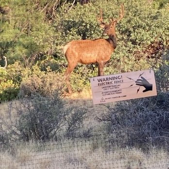 Lodge At 5600 - Elk - Hotels Near Me - Pine, Arizona