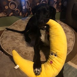 Miss Honey and her banana!