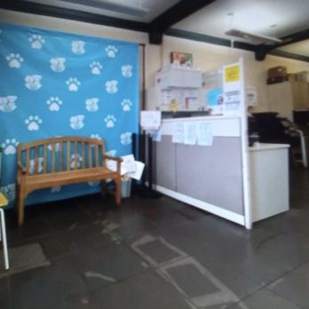 Pasadena Humane - Waiting area inside the shelter. - Animal Shelters Near Me - Pasadena, California