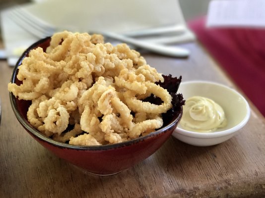 Vivo Palm Cove by null